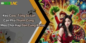 Kèo Cược Tổng Số Lần Cản Phá Thành Công: Mẹo Chơi Hấp Dẫn Cùng Xoilac