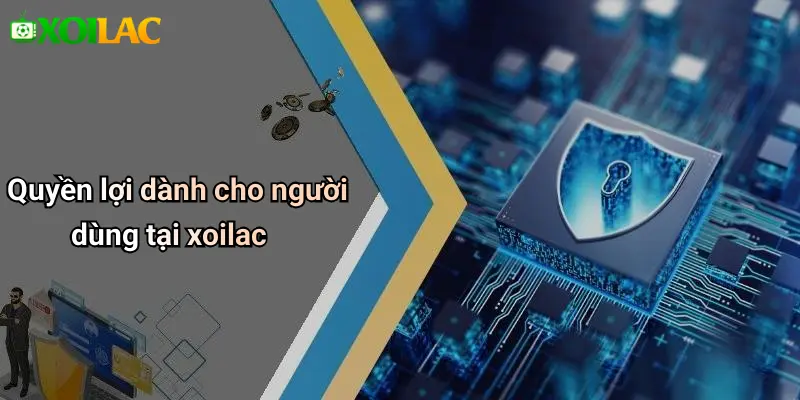 Quyền lợi dành cho người dùng tại xoilac