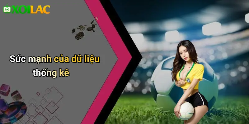 Sức mạnh của dữ liệu thống kê