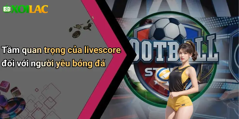 Tầm quan trọng của livescore đối với người yêu bóng đá