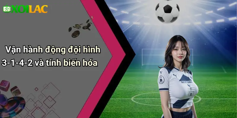 Vận hành động đội hình 3-1-4-2 và tính biến hóa