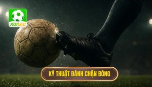 Kỹ thuật đánh chặn bóng