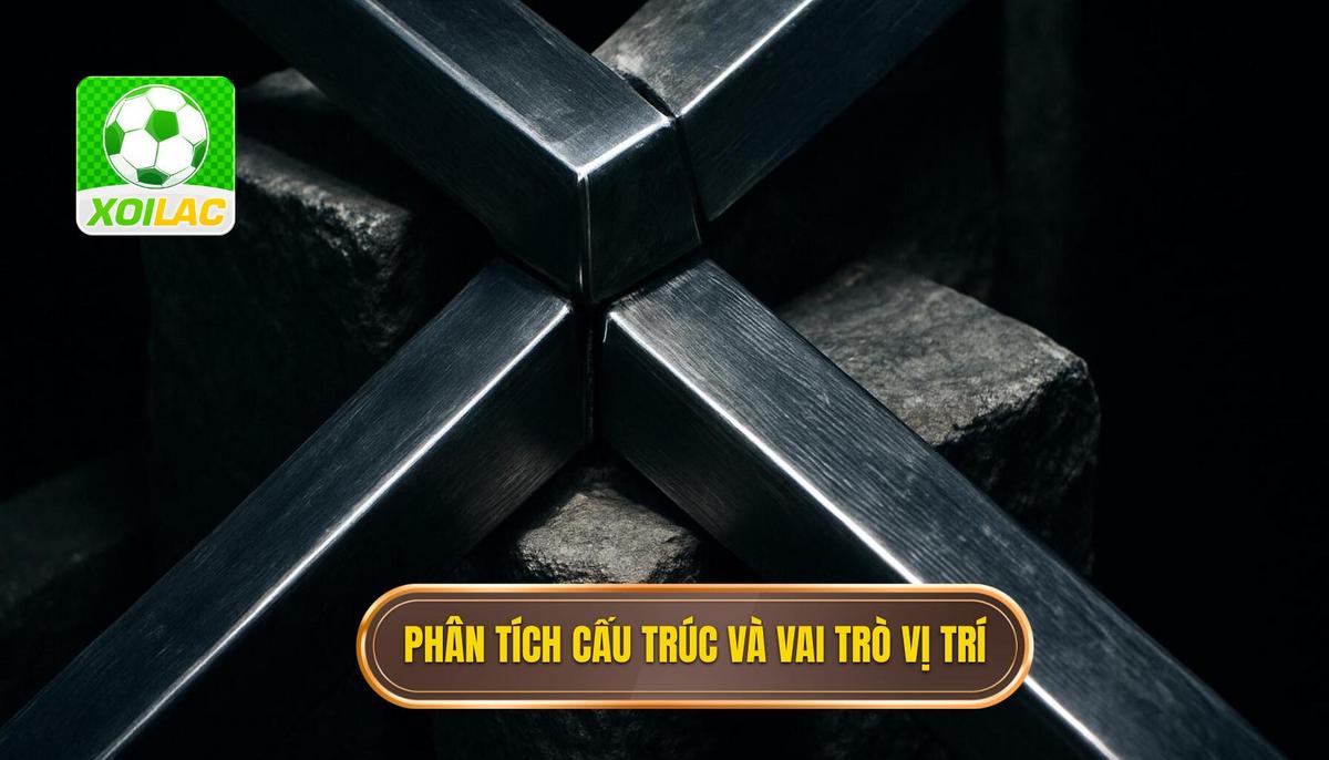 Phân tích chuyên sâu về cấu trúc và vai trò vị trí