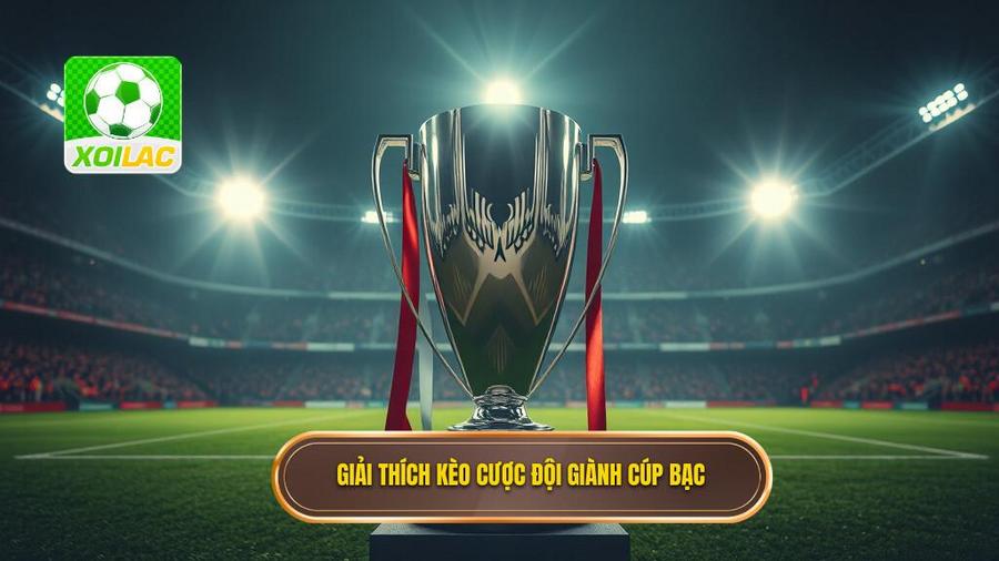 Hiểu đúng về Kèo cược đội giành cúp bạc là gì?