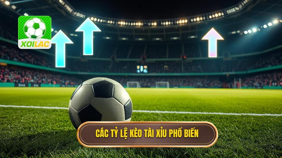 Các tỷ lệ kèo bóng đá tài xỉu phổ biến hiện nay
