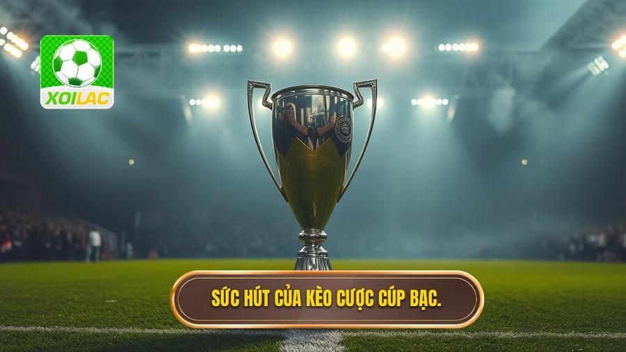 Tại sao Kèo cược đội giành cúp bạc lại thu hút giới mộ điệu?