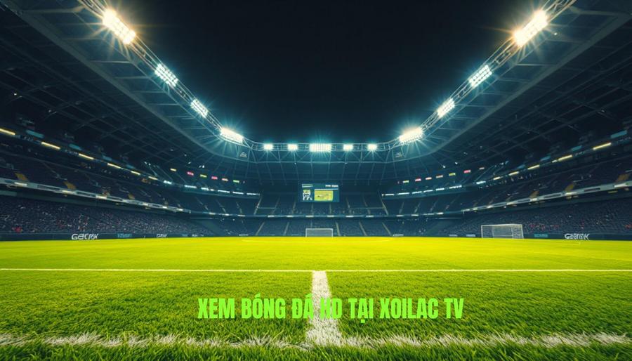 Những giải đấu hấp dẫn không thể bỏ qua trên Xoilac xem bóng đá HD Những giải đấu hấp dẫn không thể bỏ qua trên Xoilac xem bóng đá HD